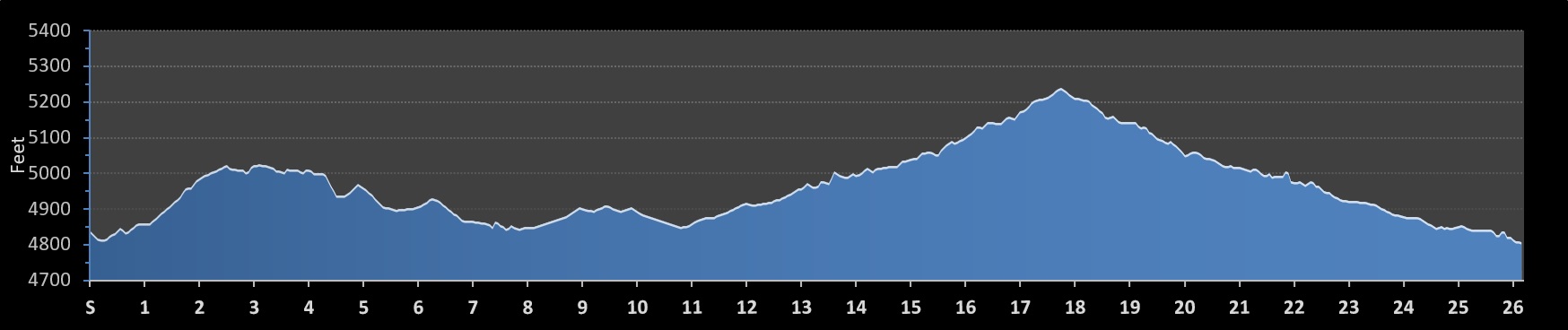 Medellin Marathon Elevation Profile