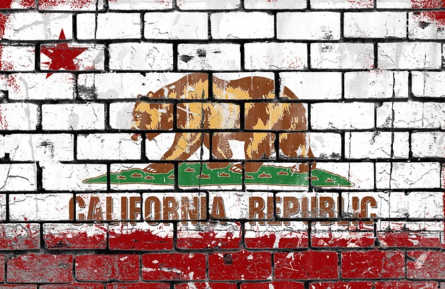 California State Flag