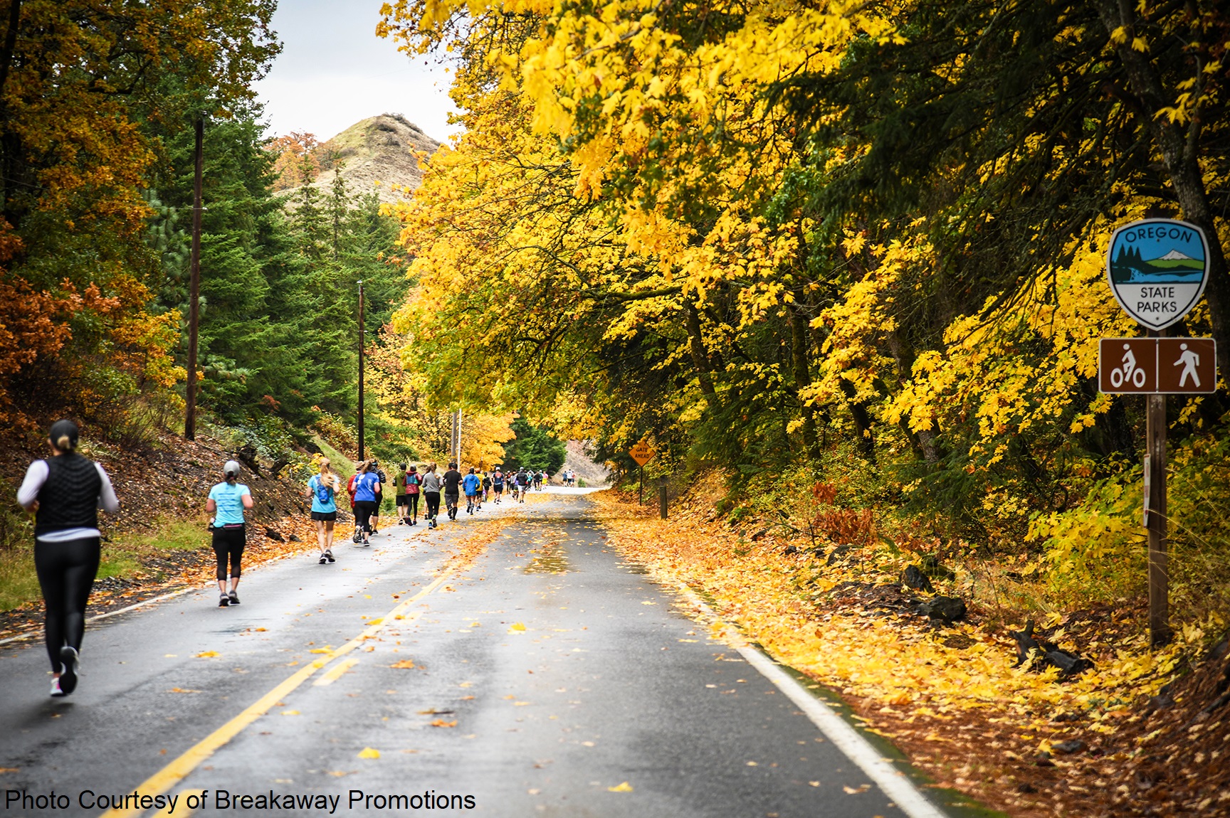 Fall Foliage on Columbia Gorge Marathon Course
