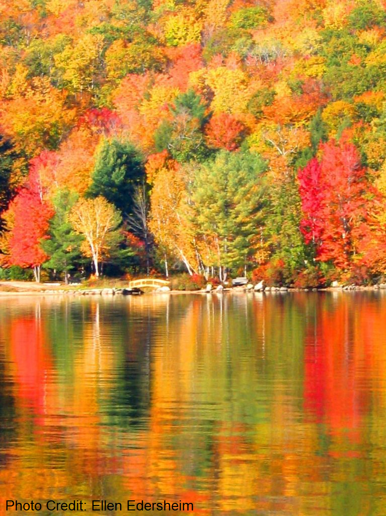 Newfound Lake at the New Hampshire Marathon