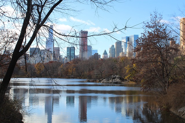 Central Park